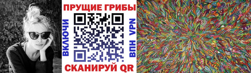 ссылка на мегу как войти как найти закладки маркетплейс клад Галлюциногенные грибы Cubensis Нефтекумск