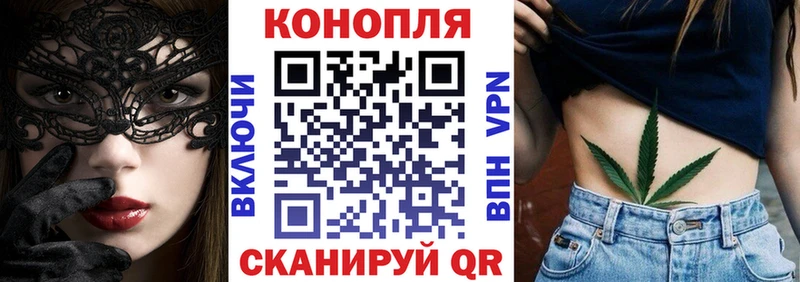 Конопля White Widow  купить наркоту  Нефтекумск 